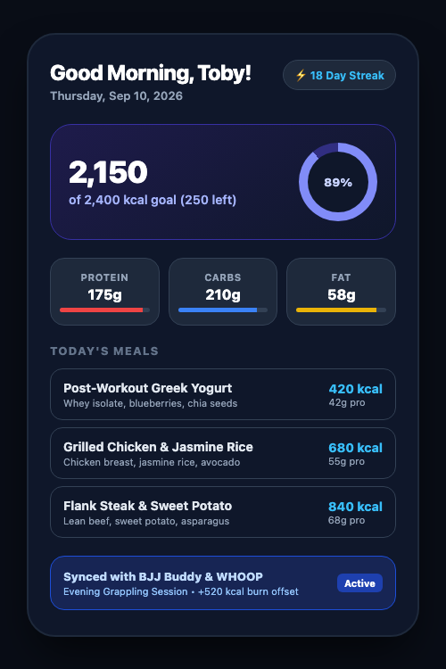NutriTrack mobile UI showing daily calorie ring, macro distribution, and BJJ Buddy sync